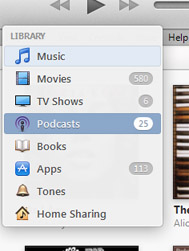 Podcasts